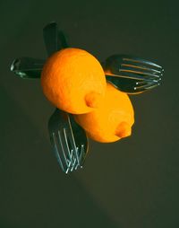 High angle view of orange in water