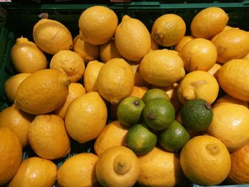 Close-up of fruits in market