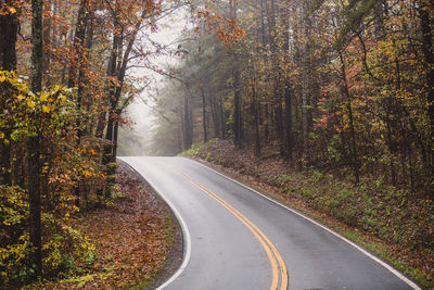 Road passing through trees