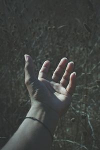 Close-up of man hand