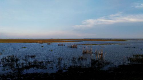 Scenic view of lake against sky