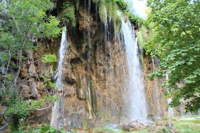 Scenic view of waterfall in forest