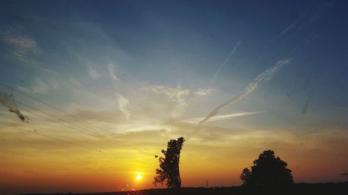 Silhouette of trees at sunset