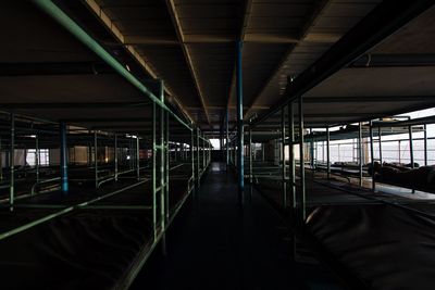 Illuminated underground walkway