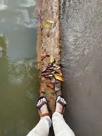 Low section of person standing by lake