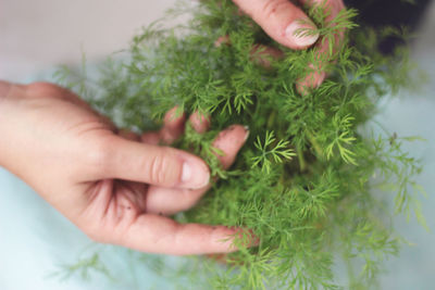 Midsection of woman holding flower