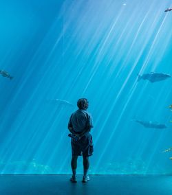 Rear view of senior man looking at fish in aquarium