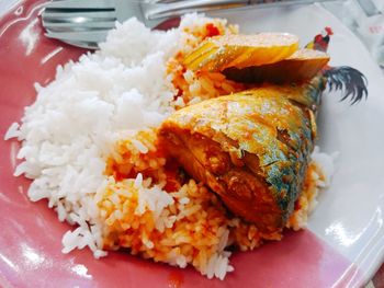 Close-up of meal served in plate