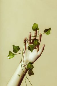Hand with leaves