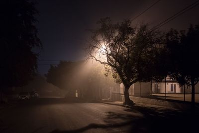 Silhouette trees by road against sky at night