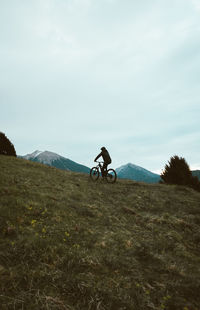 Man riding bicycle on road