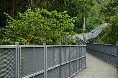 Railing by trees