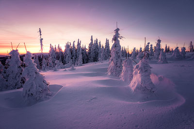 Scenic view of snow covered landscape