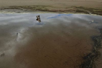 High angle view of people on beach