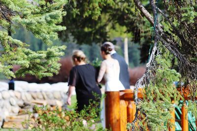 Rear view of man and woman sitting on tree