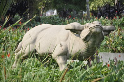 Side view of elephant in garden
