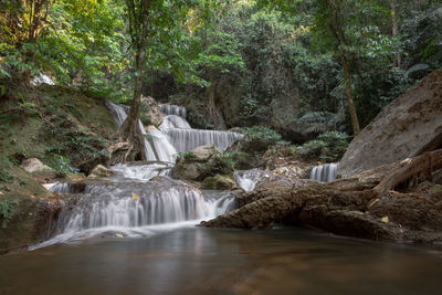 Scenic view of waterfall in forest