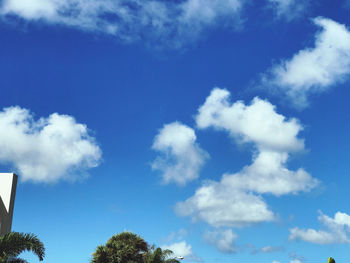 Low angle view of trees against blue sky