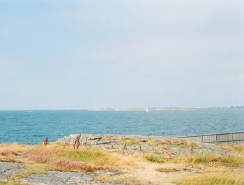 Scenic view of sea against clear sky