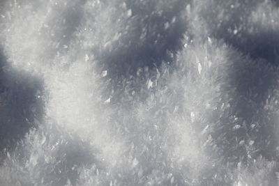 Full frame shot of snowflakes on glass