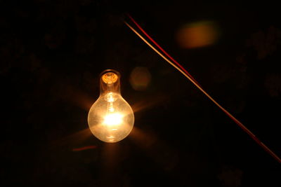 Low angle view of lit light bulb at night