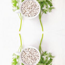 Directly above shot of dessert on white background