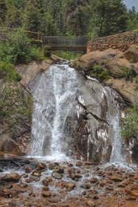 Scenic view of waterfall in forest