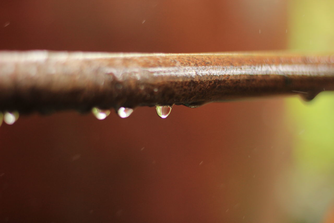 CLOSE-UP OF WATER DROPS ON PIPE