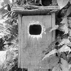 Close-up of wooden door