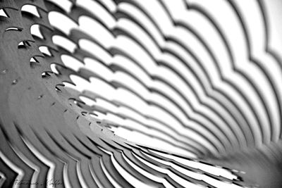 Full frame shot of spiral pattern