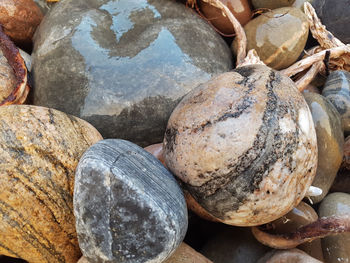 High angle view of pumpkins on rocks