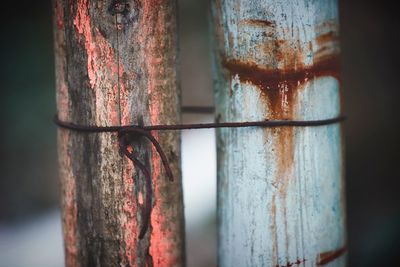 Close-up of rusty metal