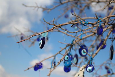 Low angle view of bird perching on tree