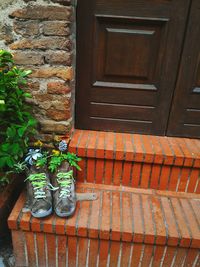 Potted plants outside house