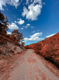 Dirt road amidst land against sky