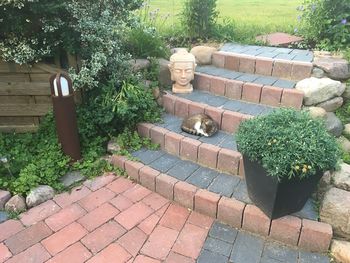 High angle view of potted plants in garden