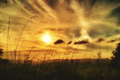 Scenic view of field against sky at sunset