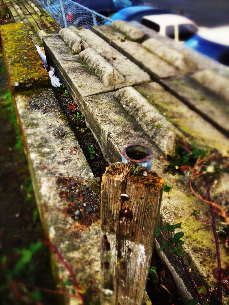 close-up, focus on foreground, metal, animal themes, selective focus, wood - material, rusty, outdoors, high angle view, day, one animal, rope, no people, part of, fence, metallic, sunlight, incidental people, wooden, wood