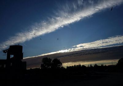 Birds flying over dark background