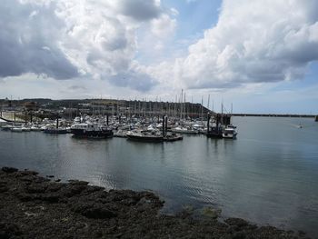 Sailboats moored in harbor