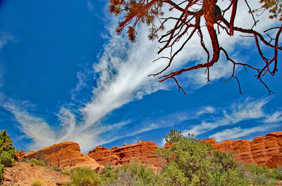 Scenic view of landscape against cloudy sky