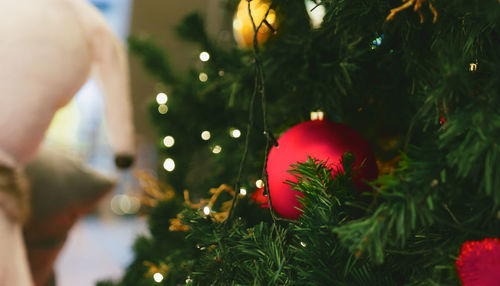 Close-up of illuminated christmas tree