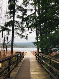 Wooden footbridge along plants and trees