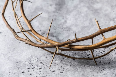 High angle view of a barbed wire