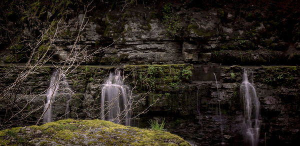 Scenic view of waterfall in forest