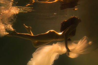 Close-up of jellyfish in sea