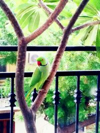 Bird perching on a branch