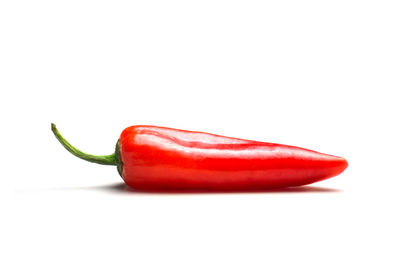 Close-up of red chili pepper against white background