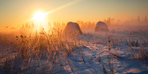 A beautiful golden sunlight in a snowy winter morning in northern europe.