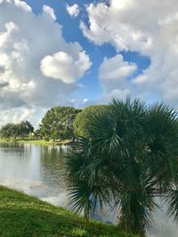 Palm trees by lake against sky